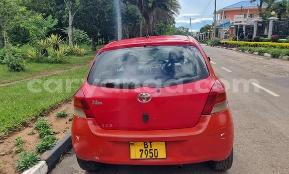 Buy Used Toyota Vitz Red Car in Blantyre in Malawi Buy Used Toyota Vitz Red Car in Blantyre in Malawi
