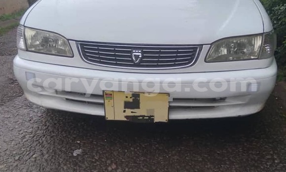 Buy Used Toyota Corolla White Car in Blantyre in Malawi Buy Used Toyota Corolla White Car in Blantyre in Malawi