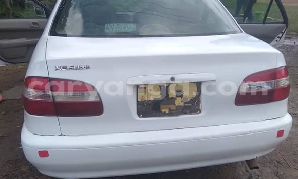 Buy Used Toyota Corolla White Car in Blantyre in Malawi Buy Used Toyota Corolla White Car in Blantyre in Malawi