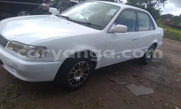 Buy Used Toyota Corolla White Car in Blantyre in Malawi Buy Used Toyota Corolla White Car in Blantyre in Malawi