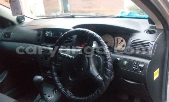 Buy Used Toyota Runx Silver Car in Blantyre in Malawi Buy Used Toyota Runx Silver Car in Blantyre in Malawi