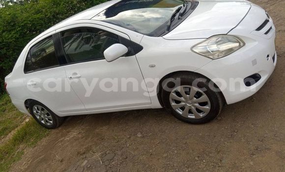 Buy Used Toyota Belta White Car in Blantyre in Malawi Buy Used Toyota Belta White Car in Blantyre in Malawi