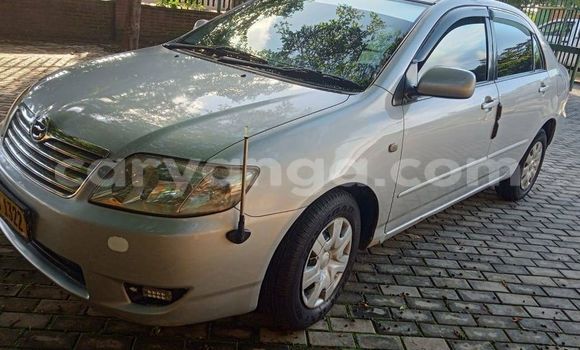 Buy Used Toyota Corolla Silver Car in Blantyre in Malawi Buy Used Toyota Corolla Silver Car in Blantyre in Malawi
