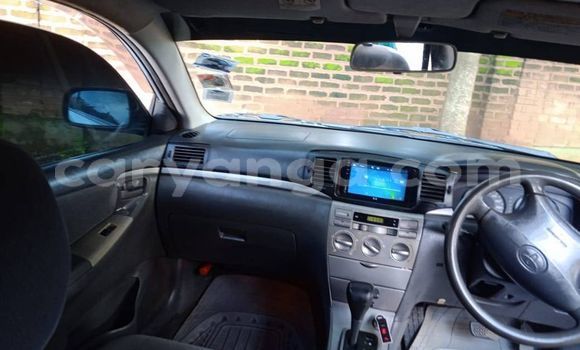 Buy Used Toyota Corolla Silver Car in Blantyre in Malawi Buy Used Toyota Corolla Silver Car in Blantyre in Malawi