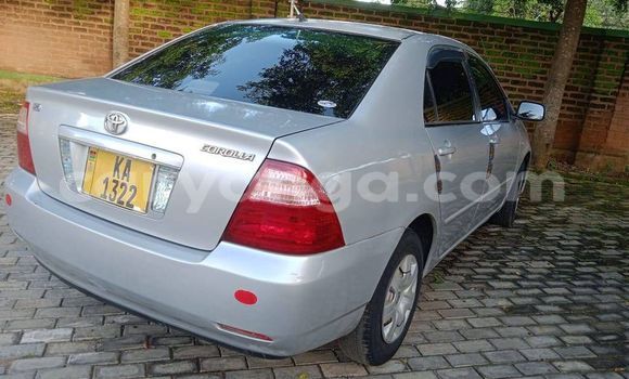 Buy Used Toyota Corolla Silver Car in Blantyre in Malawi Buy Used Toyota Corolla Silver Car in Blantyre in Malawi