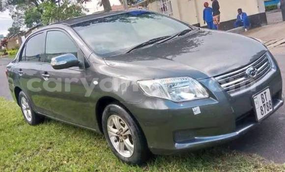 Buy Used Toyota Axio Other Car in Blantyre in Malawi Buy Used Toyota Axio Other Car in Blantyre in Malawi