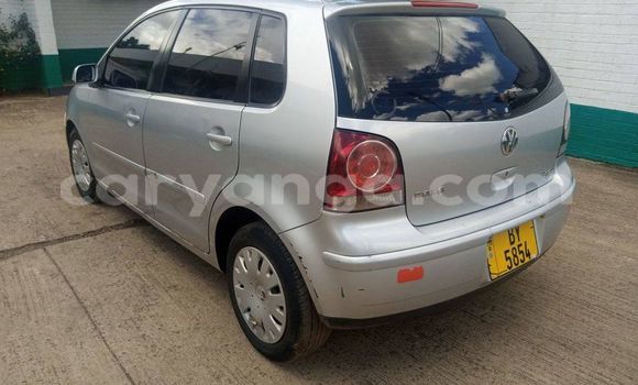 Buy Used Volkswagen Polo Silver Car in Blantyre in Malawi Buy Used Volkswagen Polo Silver Car in Blantyre in Malawi