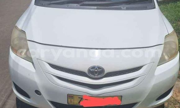 Buy Used Toyota Belta White Car in Blantyre in Malawi