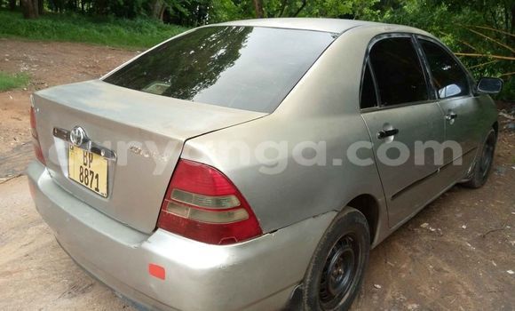 Nunua Ilio tumika Toyota Corolla Silver Gari ndani ya Blantyre nchini Malawi Nunua Ilio tumika Toyota Corolla Silver Gari ndani ya Blantyre nchini Malawi