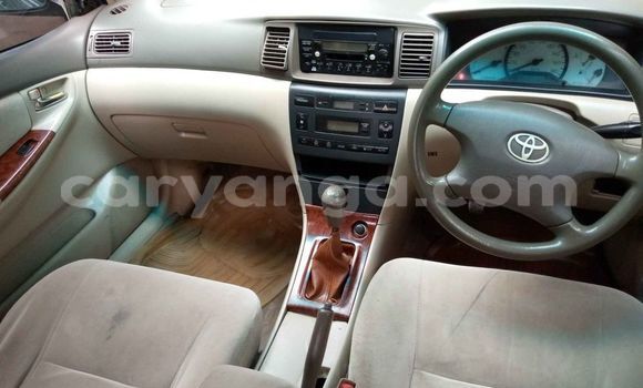 Nunua Ilio tumika Toyota Corolla Silver Gari ndani ya Blantyre nchini Malawi Nunua Ilio tumika Toyota Corolla Silver Gari ndani ya Blantyre nchini Malawi