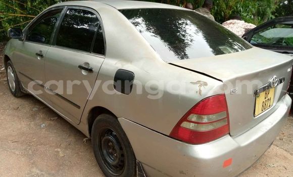 Nunua Ilio tumika Toyota Corolla Silver Gari ndani ya Blantyre nchini Malawi Nunua Ilio tumika Toyota Corolla Silver Gari ndani ya Blantyre nchini Malawi