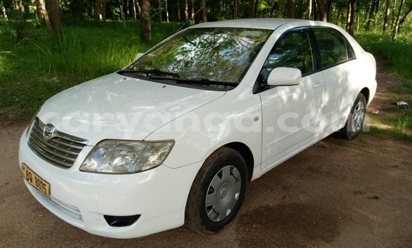 Acheter Occasion Voiture Toyota Corolla Blanc à Blantyre, Malawi Acheter Occasion Voiture Toyota Corolla Blanc à Blantyre, Malawi