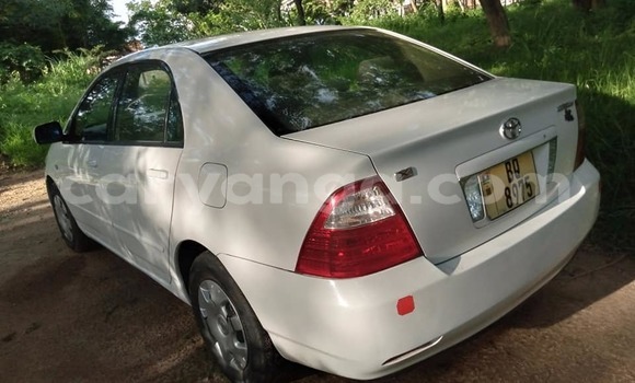 Acheter Occasion Voiture Toyota Corolla Blanc à Blantyre, Malawi Acheter Occasion Voiture Toyota Corolla Blanc à Blantyre, Malawi