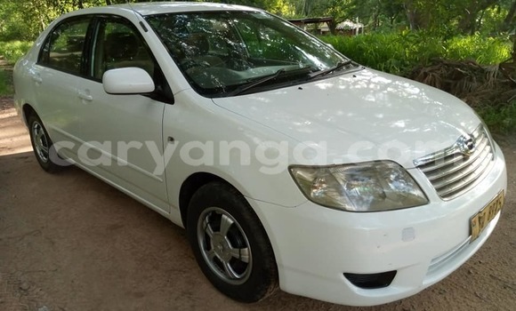Acheter Occasion Voiture Toyota Corolla Blanc à Blantyre, Malawi Acheter Occasion Voiture Toyota Corolla Blanc à Blantyre, Malawi