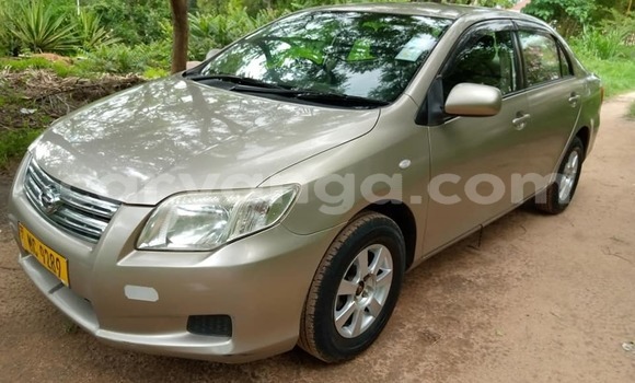 Nunua Ilio tumika Toyota Axio Silver Gari ndani ya Blantyre nchini Malawi Nunua Ilio tumika Toyota Axio Silver Gari ndani ya Blantyre nchini Malawi