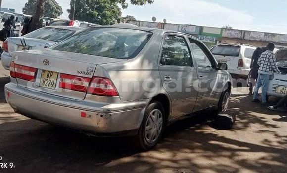 Buy Used Toyota Vista Silver Car in Lilongwe in Malawi Buy Used Toyota Vista Silver Car in Lilongwe in Malawi