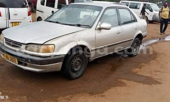 Buy Used Toyota Corolla White Car in Lilongwe in Malawi Buy Used Toyota Corolla White Car in Lilongwe in Malawi