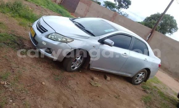 Buy Used Toyota Corolla Silver Car in Lilongwe in Malawi Buy Used Toyota Corolla Silver Car in Lilongwe in Malawi