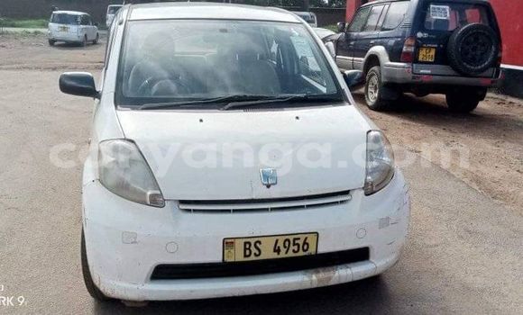 Buy Used Toyota Passo White Car in Lilongwe in Malawi Buy Used Toyota Passo White Car in Lilongwe in Malawi