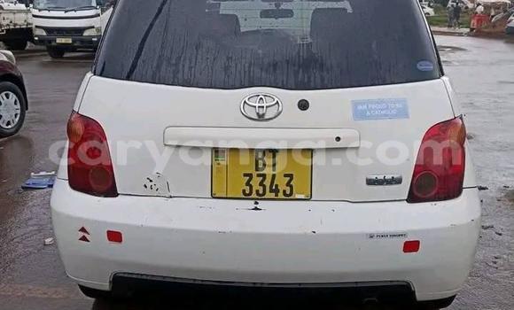 Buy Used Toyota IST White Car in Zomba in Malawi Buy Used Toyota IST White Car in Zomba in Malawi