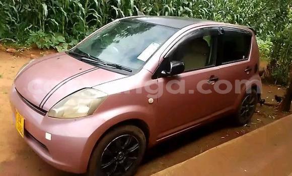 Buy Used Toyota Passo Other Car in Zomba in Malawi Buy Used Toyota Passo Other Car in Zomba in Malawi