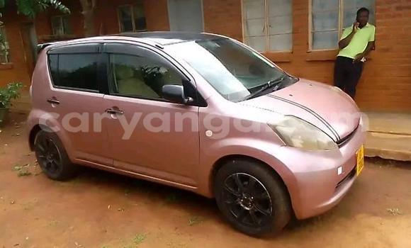 Buy Used Toyota Passo Other Car in Zomba in Malawi Buy Used Toyota Passo Other Car in Zomba in Malawi