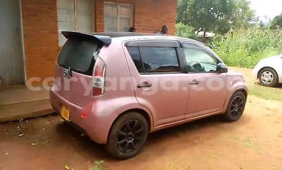 Buy Used Toyota Passo Other Car in Zomba in Malawi Buy Used Toyota Passo Other Car in Zomba in Malawi