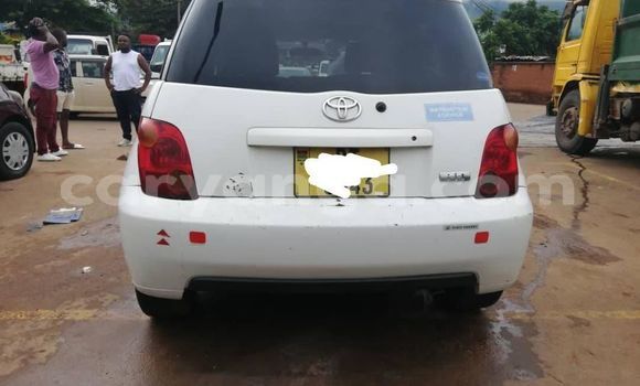Buy Used Toyota IST White Car in Zomba in Malawi Buy Used Toyota IST White Car in Zomba in Malawi