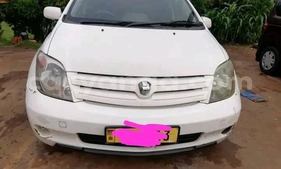 Buy Used Toyota IST White Car in Zomba in Malawi Buy Used Toyota IST White Car in Zomba in Malawi