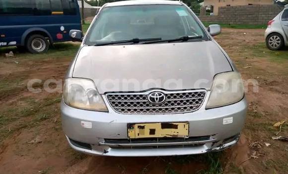Buy Used Toyota Corolla Silver Car in Zomba in Malawi Buy Used Toyota Corolla Silver Car in Zomba in Malawi