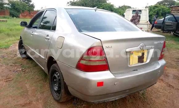 Buy Used Toyota Corolla Silver Car in Zomba in Malawi Buy Used Toyota Corolla Silver Car in Zomba in Malawi