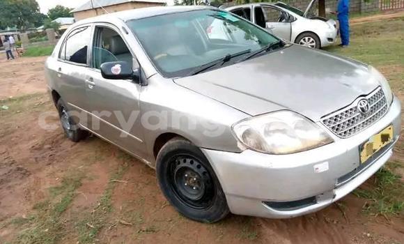 Buy Used Toyota Corolla Silver Car in Zomba in Malawi Buy Used Toyota Corolla Silver Car in Zomba in Malawi