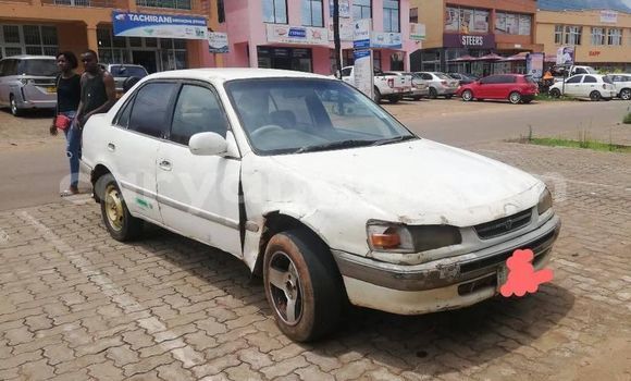 Buy Used Toyota Corolla White Car in Zomba in Malawi Buy Used Toyota Corolla White Car in Zomba in Malawi