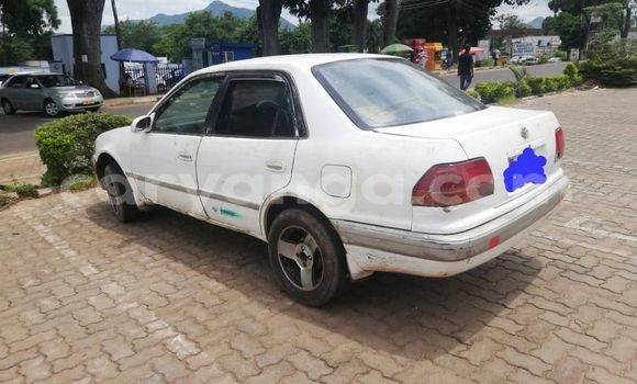 Buy Used Toyota Corolla White Car in Zomba in Malawi Buy Used Toyota Corolla White Car in Zomba in Malawi
