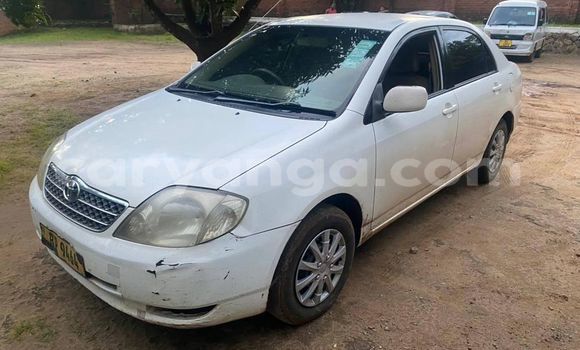 Buy Used Toyota Corolla White Car in Zomba in Malawi Buy Used Toyota Corolla White Car in Zomba in Malawi