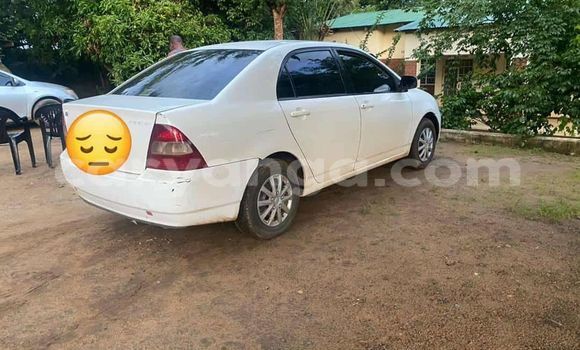 Buy Used Toyota Corolla White Car in Zomba in Malawi Buy Used Toyota Corolla White Car in Zomba in Malawi