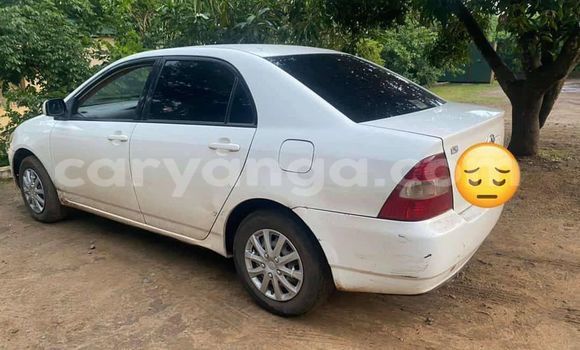 Buy Used Toyota Corolla White Car in Zomba in Malawi Buy Used Toyota Corolla White Car in Zomba in Malawi