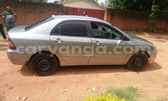 Buy Used Toyota Corolla Silver Car in Zomba in Malawi Buy Used Toyota Corolla Silver Car in Zomba in Malawi