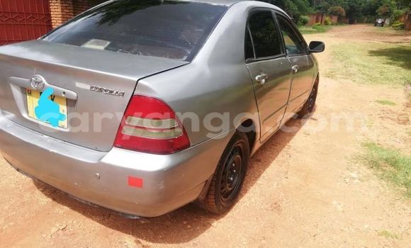 Buy Used Toyota Corolla Silver Car in Zomba in Malawi Buy Used Toyota Corolla Silver Car in Zomba in Malawi
