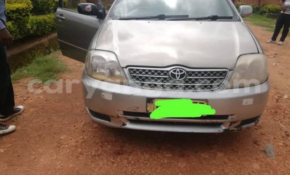 Buy Used Toyota Corolla Silver Car in Zomba in Malawi Buy Used Toyota Corolla Silver Car in Zomba in Malawi