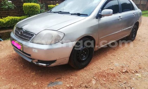Buy Used Toyota Corolla Silver Car in Zomba in Malawi Buy Used Toyota Corolla Silver Car in Zomba in Malawi