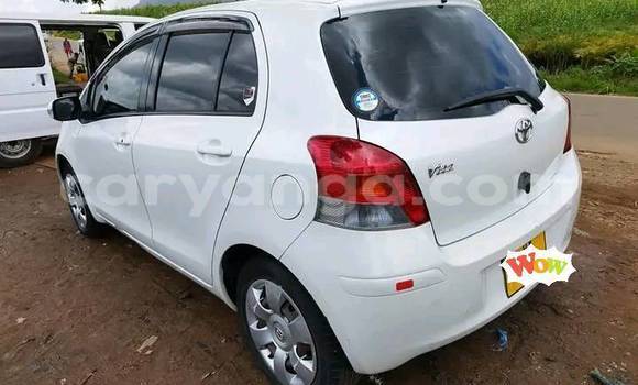 Buy Used Toyota Vitz White Car in Blantyre in Malawi Buy Used Toyota Vitz White Car in Blantyre in Malawi