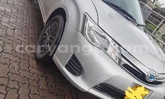 Acheter Occasion Voiture Toyota Axio Gris à Blantyre, Malawi Acheter Occasion Voiture Toyota Axio Gris à Blantyre, Malawi