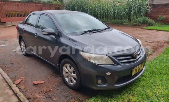 Buy Used Toyota Corolla Blue Car in Blantyre in Malawi Buy Used Toyota Corolla Blue Car in Blantyre in Malawi