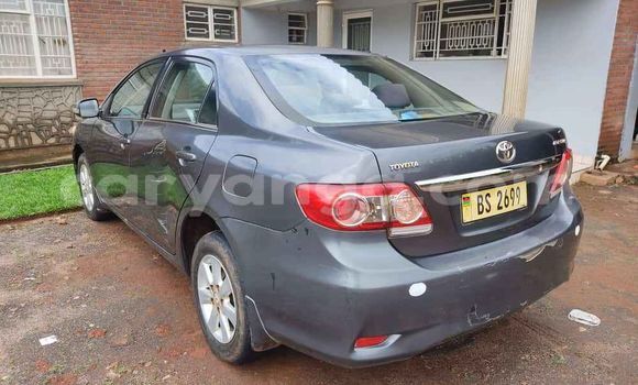 Buy Used Toyota Corolla Blue Car in Blantyre in Malawi Buy Used Toyota Corolla Blue Car in Blantyre in Malawi