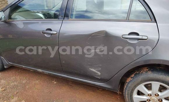 Buy Used Toyota Corolla Blue Car in Blantyre in Malawi Buy Used Toyota Corolla Blue Car in Blantyre in Malawi