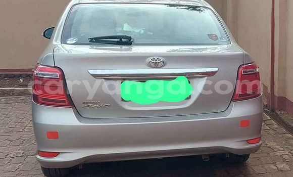 Buy Used Toyota Axio Silver Car in Blantyre in Malawi Buy Used Toyota Axio Silver Car in Blantyre in Malawi