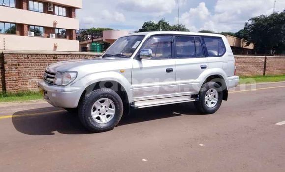 Buy Used Toyota Land Cruiser Prado Silver Car in Blantyre in Malawi Buy Used Toyota Land Cruiser Prado Silver Car in Blantyre in Malawi