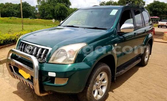 Buy Used Toyota Land Cruiser Prado Green Car in Blantyre in Malawi Buy Used Toyota Land Cruiser Prado Green Car in Blantyre in Malawi