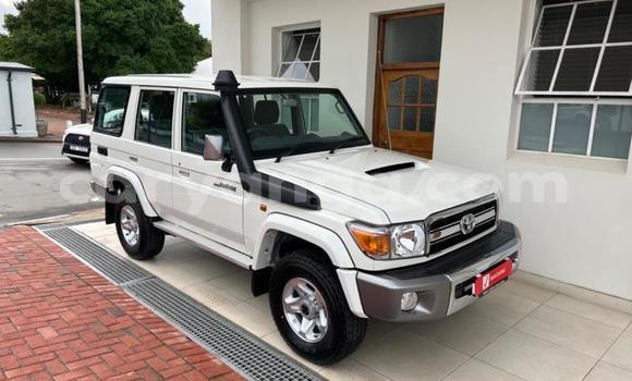 Nunua Ilio tumika Toyota Land Cruiser White Gari ndani ya Blantyre nchini Malawi Nunua Ilio tumika Toyota Land Cruiser White Gari ndani ya Blantyre nchini Malawi